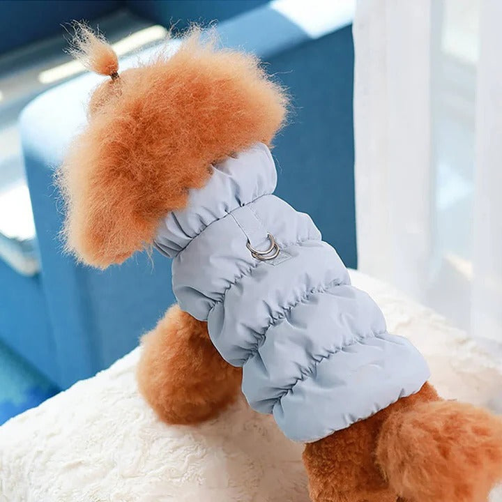 Winterjacke mit integriertem Leinenring für Hunde und Katzen
