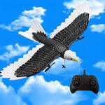 Fernbedienung für den Adler-Vogel