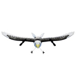 Fernbedienung für den Adler-Vogel