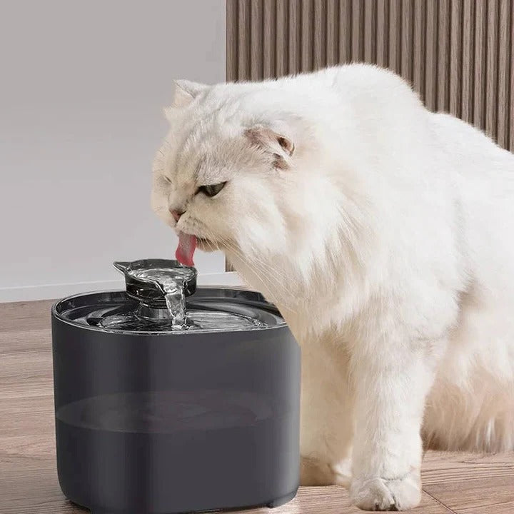 Intelligente Katzenwasserquelle mit Filtersystem
