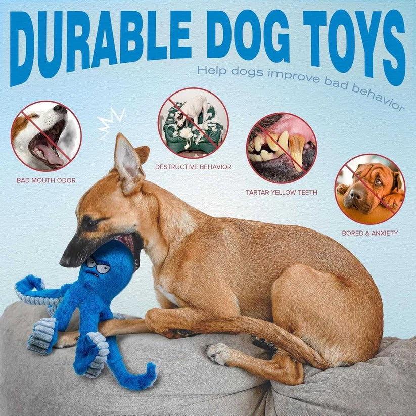 Robustes Plüschspielzeug für Hunde mit Quietscher und Knistereffekt