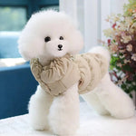 Winterjacke mit integriertem Leinenring für Hunde und Katzen