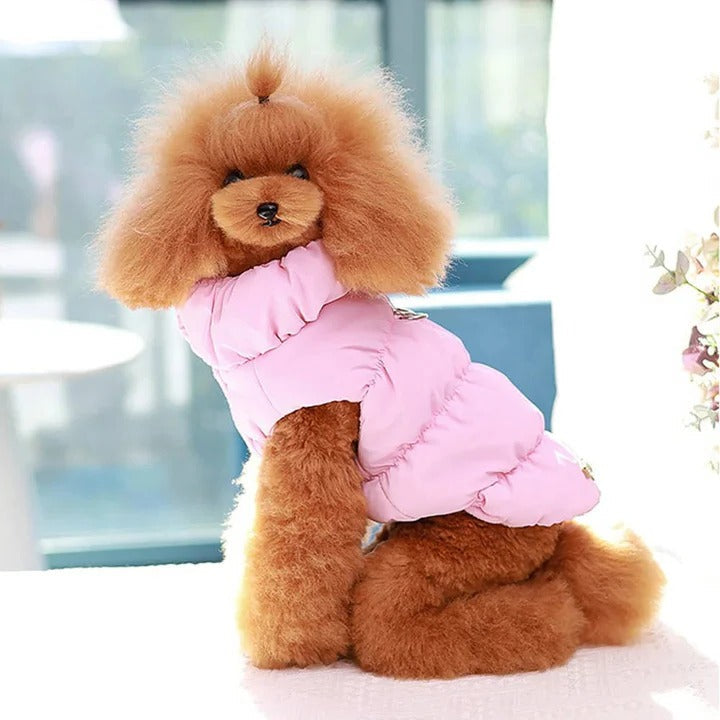 Winterjacke mit integriertem Leinenring für Hunde und Katzen