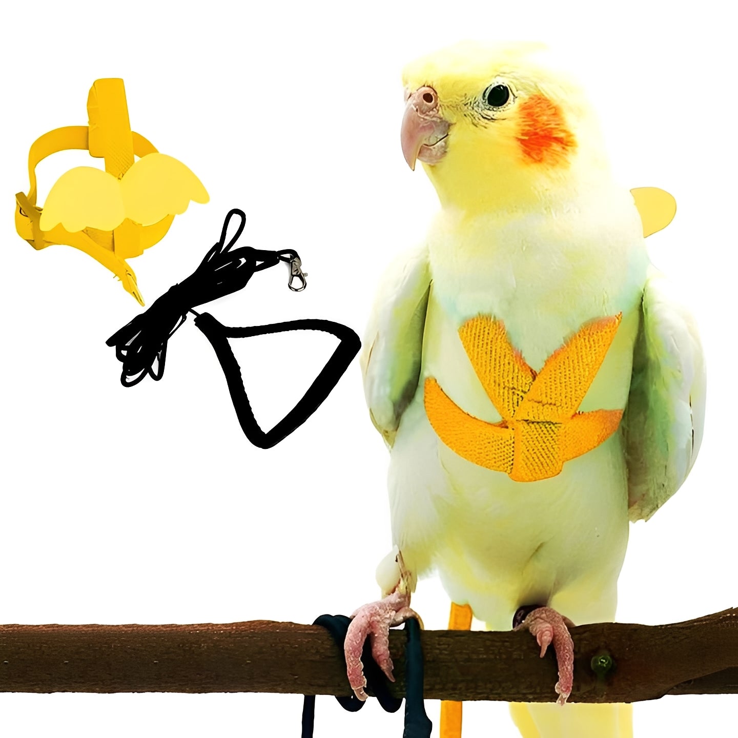 Sichere Vogelgeschirr und Leine für Papageien