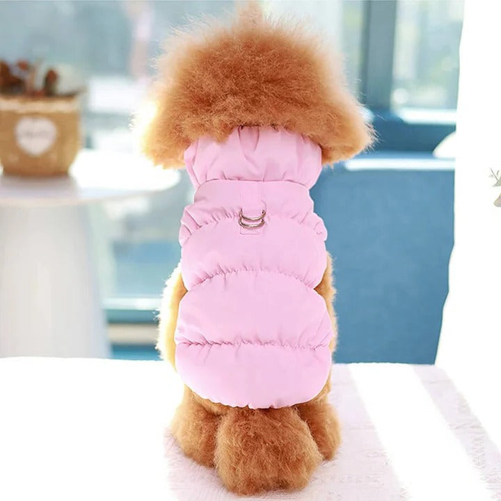 Winterjacke mit integriertem Leinenring für Hunde und Katzen