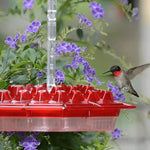 Kolibri-Futterstation mit integriertem Ameisenmoat