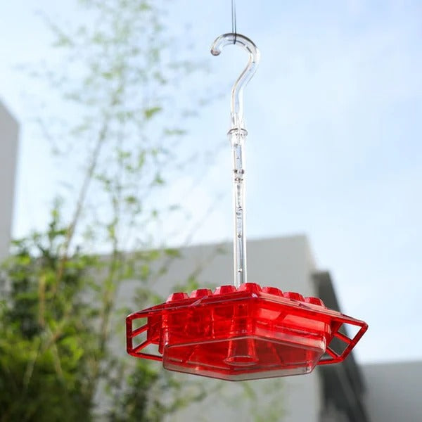 Kolibri-Futterstation mit integriertem Ameisenmoat