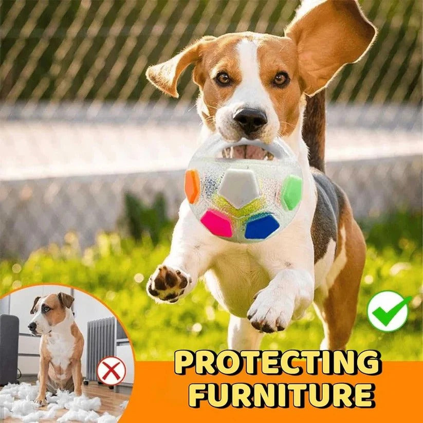 Robustes Hundespielzeug in Ballform mit Flaschen-Design für starke Kauer
