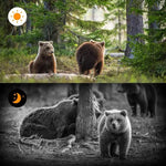 Wildkamera mit PIR-Bewegungssensor und Nachtsicht