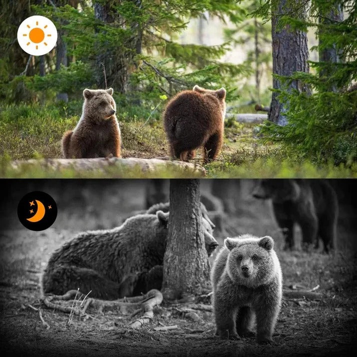 Wildkamera mit PIR-Bewegungssensor und Nachtsicht