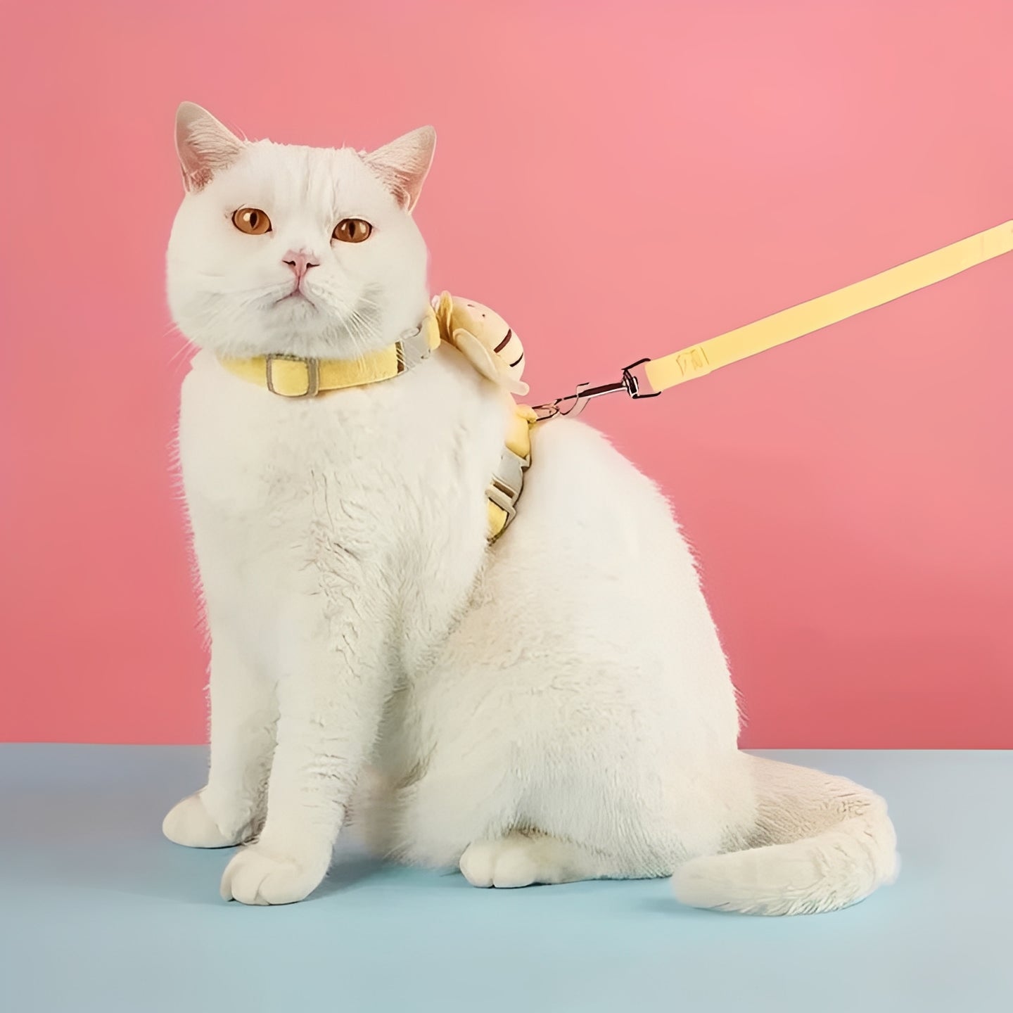 Sichere Katzengeschirr mit Verstellbaren Riemen für Abenteuer
