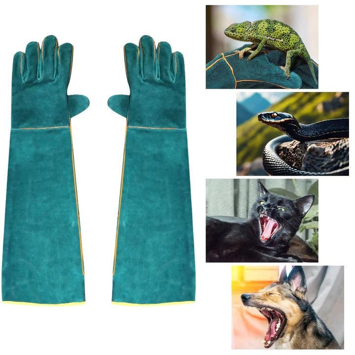 Schutzhandschuhe aus robustem Material für den Umgang mit Tieren