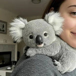 Kuscheliger Koala mit sanftem Druck für Entspannung