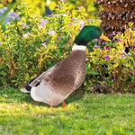 Lebensechte Entenfigur für den Garten