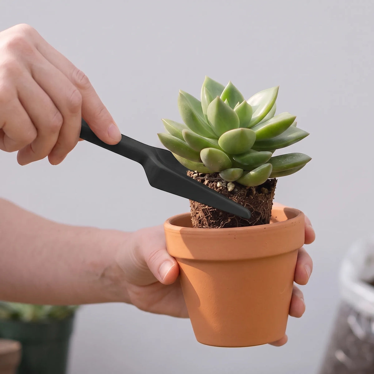 Compact Tool Set for Caring for Indoor Mini Plants