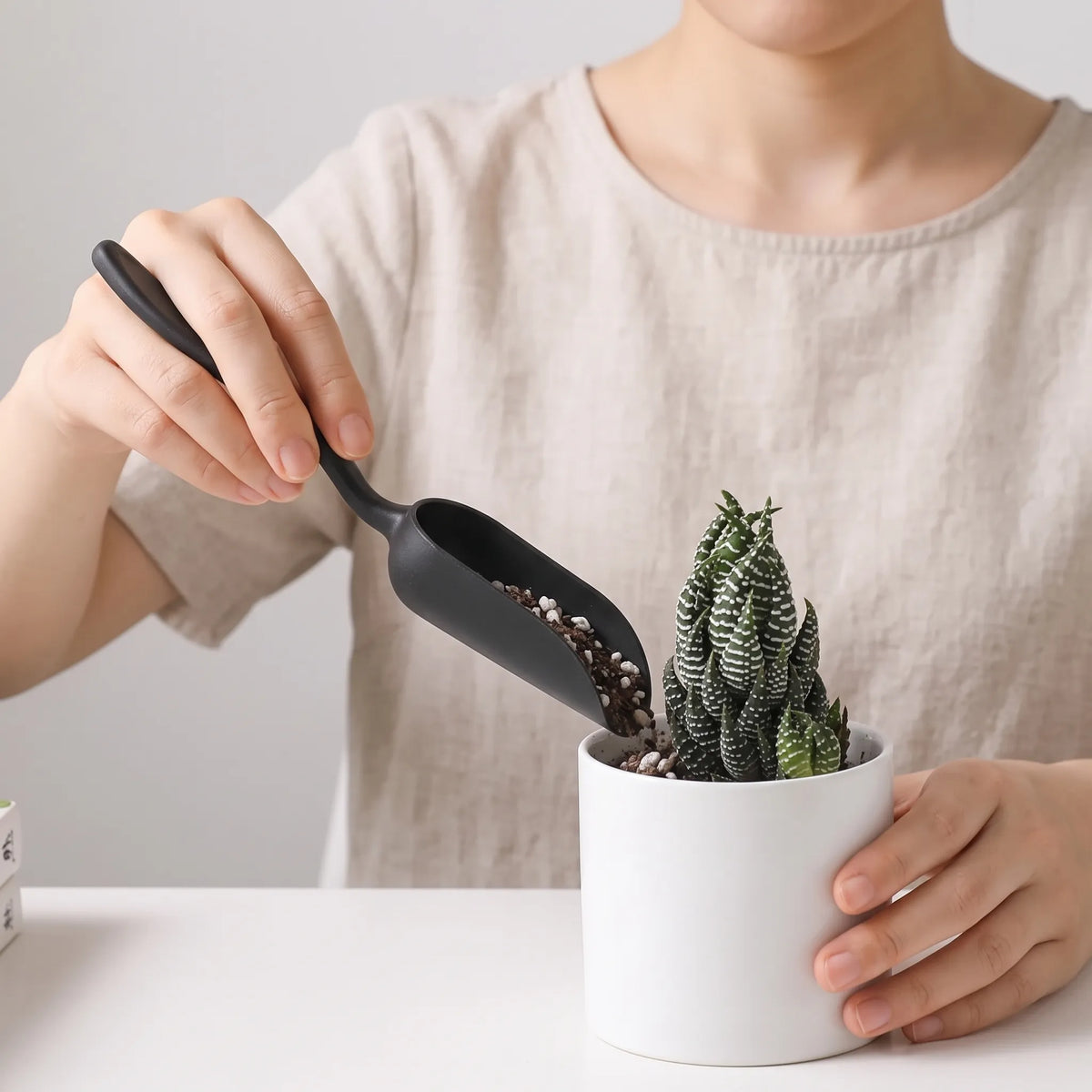 Compact Tool Set for Caring for Indoor Mini Plants