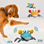 Engaging Crabby Toy for Active Dogs