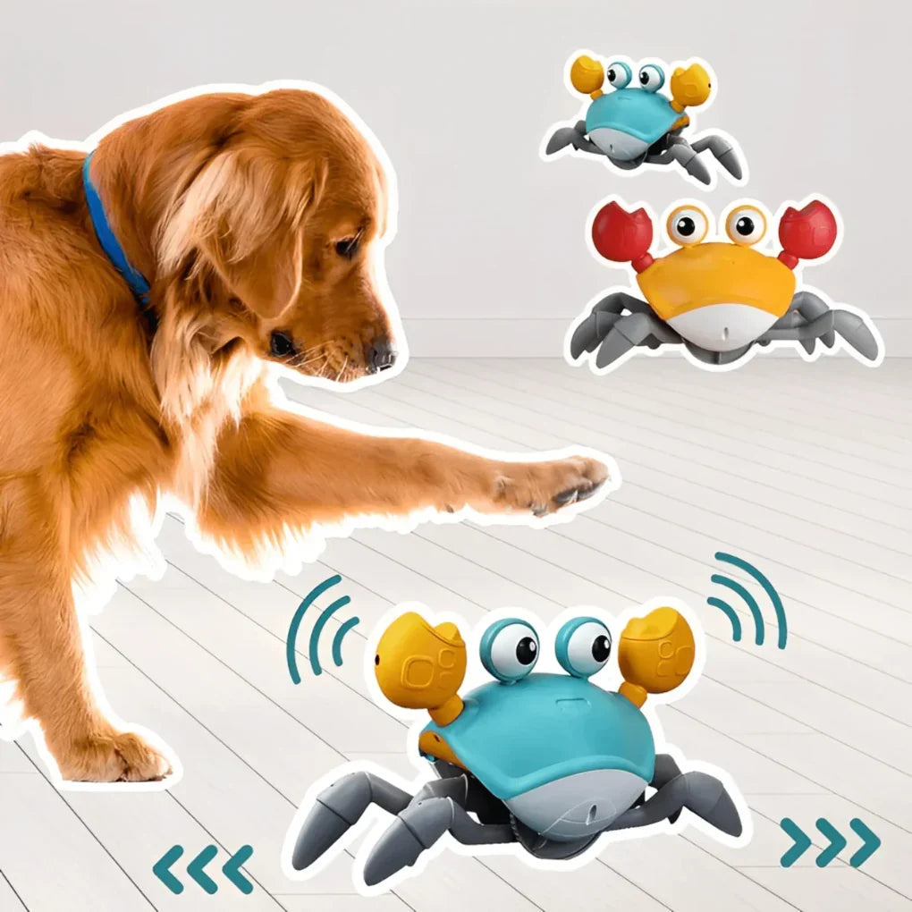 Engaging Crabby Toy for Active Dogs