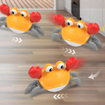 Engaging Crabby Toy for Active Dogs