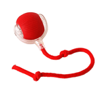 Rechargeable Bouncing Ball for Dogs - Interactive Play Toy