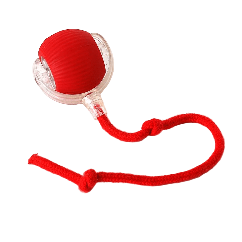 Rechargeable Bouncing Ball for Dogs - Interactive Play Toy
