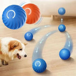 Rechargeable Bouncing Ball for Dogs - Interactive Play Toy