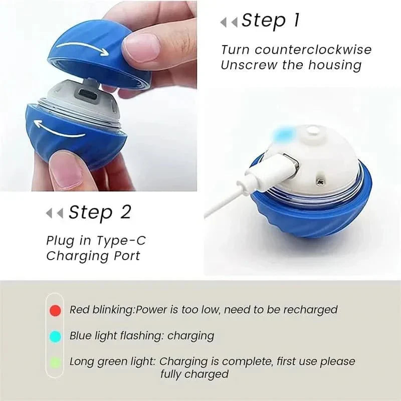 Rechargeable Bouncing Ball for Dogs - Interactive Play Toy