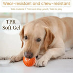 Rechargeable Bouncing Ball for Dogs - Interactive Play Toy