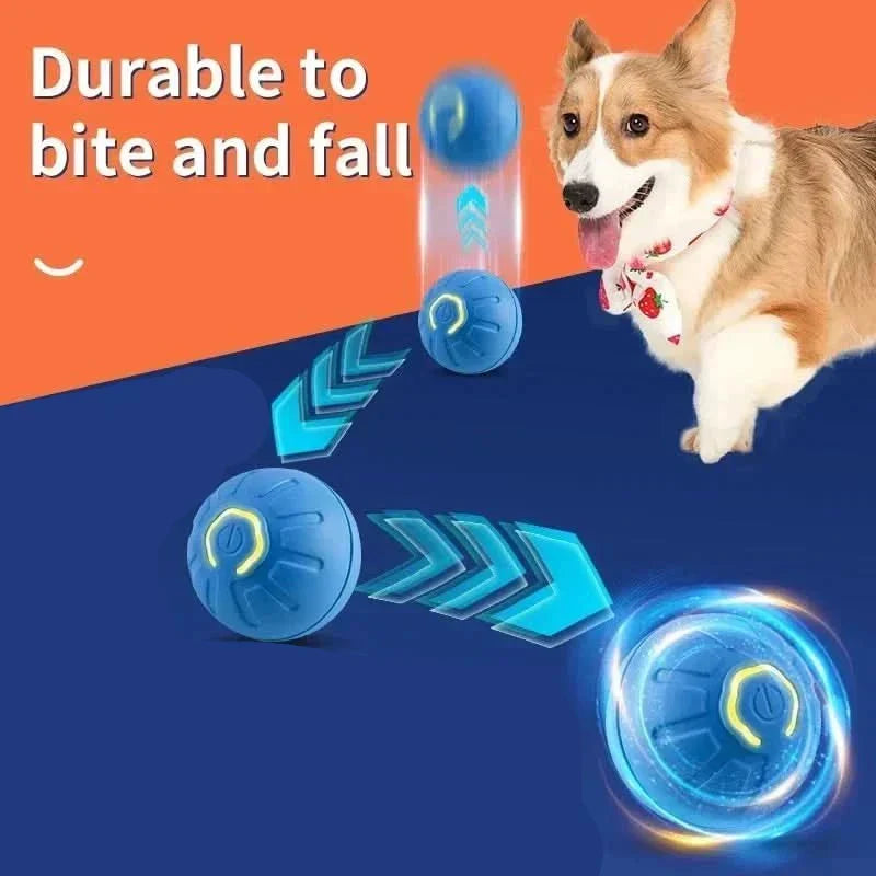 Rechargeable Bouncing Ball for Dogs - Interactive Play Toy
