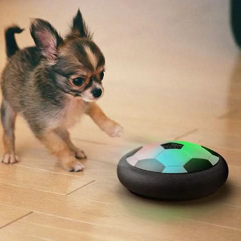 Engaging Dog Ball Toy for Active Play and Mental Stimulation