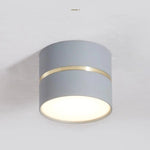 Stylish LED Ceiling Spotlight with Flexible Light Design