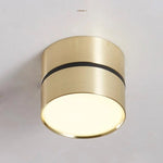 Stylish LED Ceiling Spotlight with Flexible Light Design
