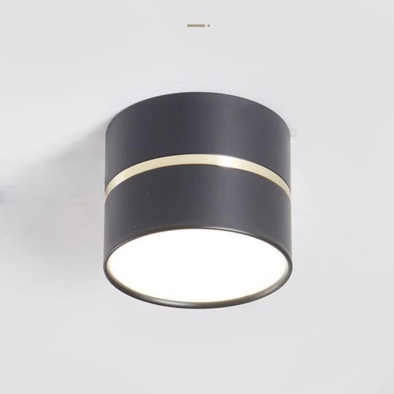 Stylish LED Ceiling Spotlight with Flexible Light Design