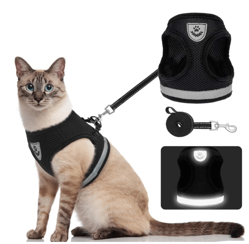 Sicherheitsgeschirr für Katzen – Unvergessliche Abenteuer