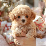 Plush Interactive Dog Toy for Children – Cuddle and Play Fun