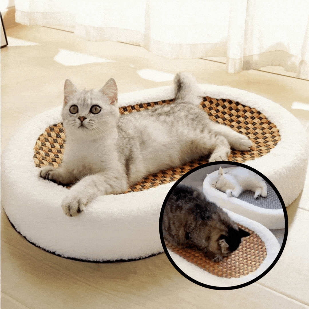 Katzenbett mit integriertem Kratzbrett für entspannte Stunden