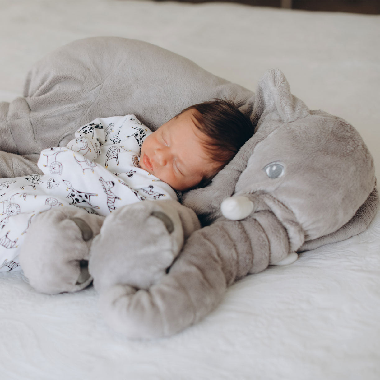 MiniElefant Kuscheltier – Der perfekte Begleiter für Kinder