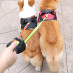 Innovative Doppelleine für Hunde & Katzen mit LED & Kotbeutelhalter