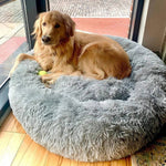 Beruhigendes Hundebett für entspannte Nächte