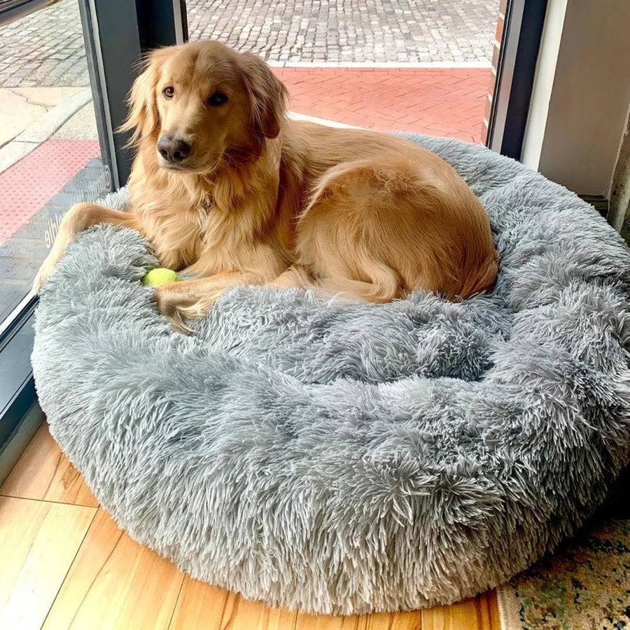 Beruhigendes Hundebett für entspannte Nächte
