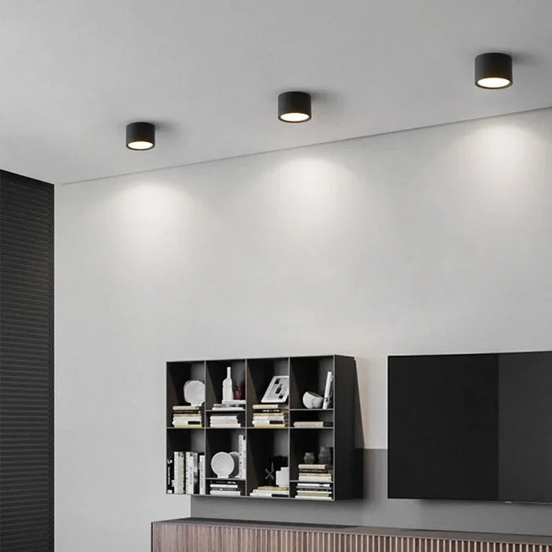 Bright Round LED Ceiling Light for Hallway and Kitchen