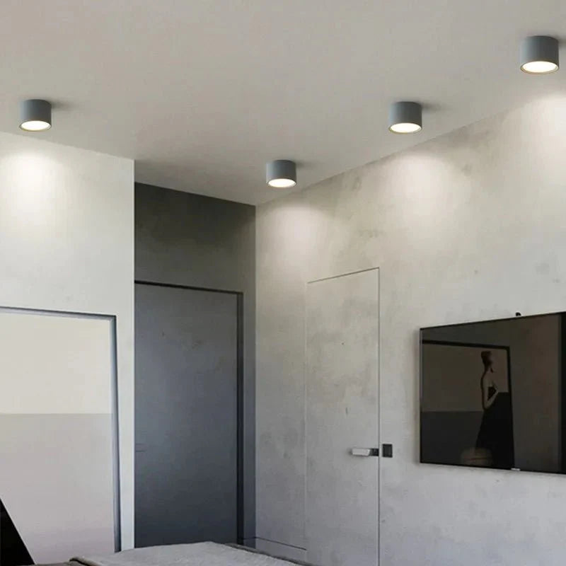 Bright Round LED Ceiling Light for Hallway and Kitchen