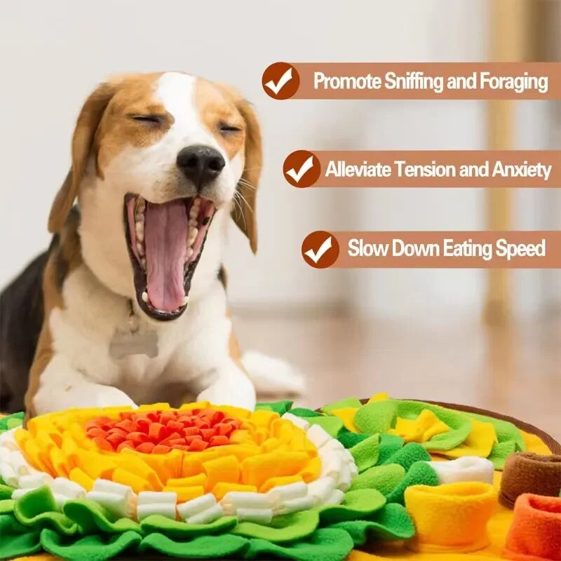 Schnüffelteppich für Hunde – Interaktives Spielzeug