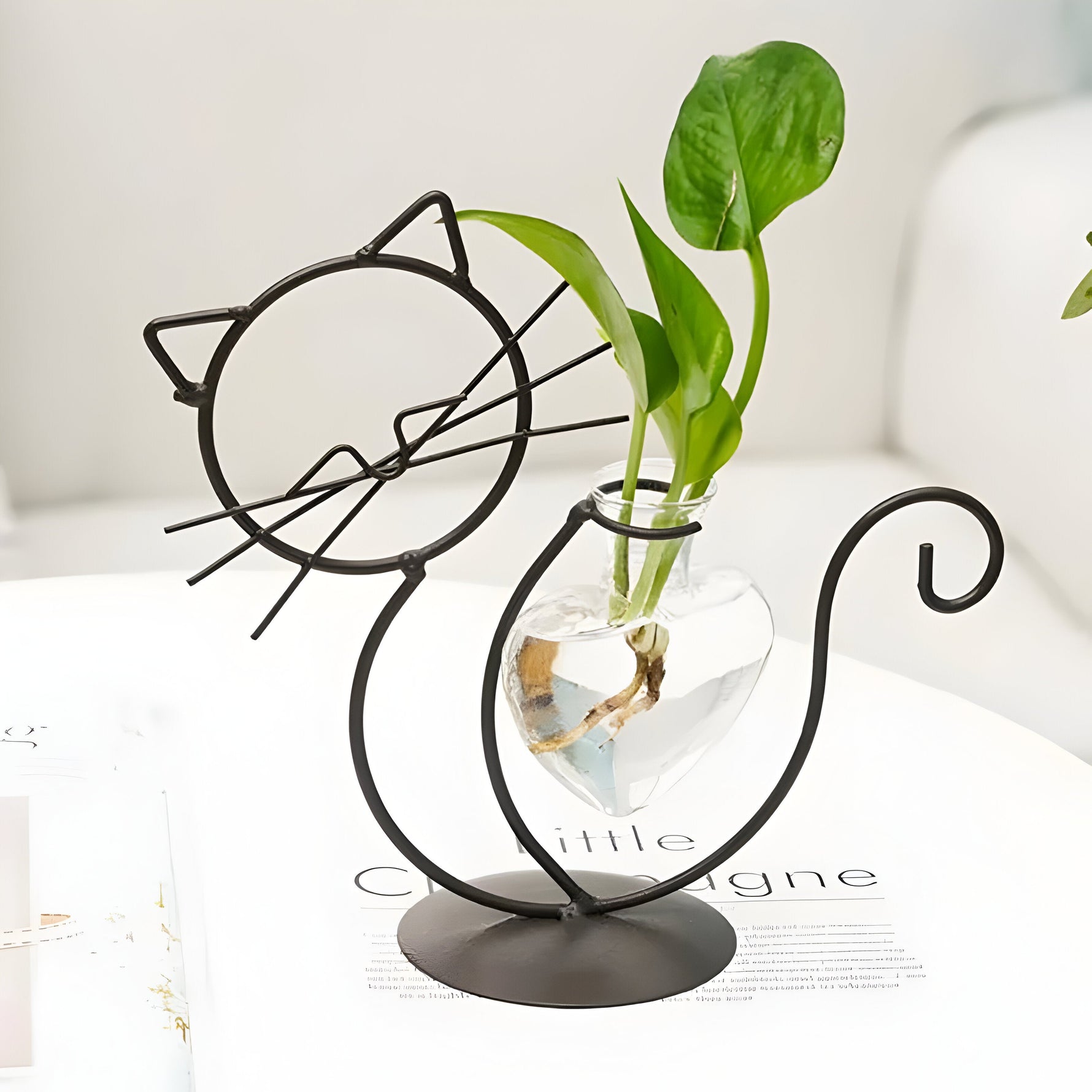 Elegante Herzvase mit Katzenhalter - Hydroponisches Glasdesign