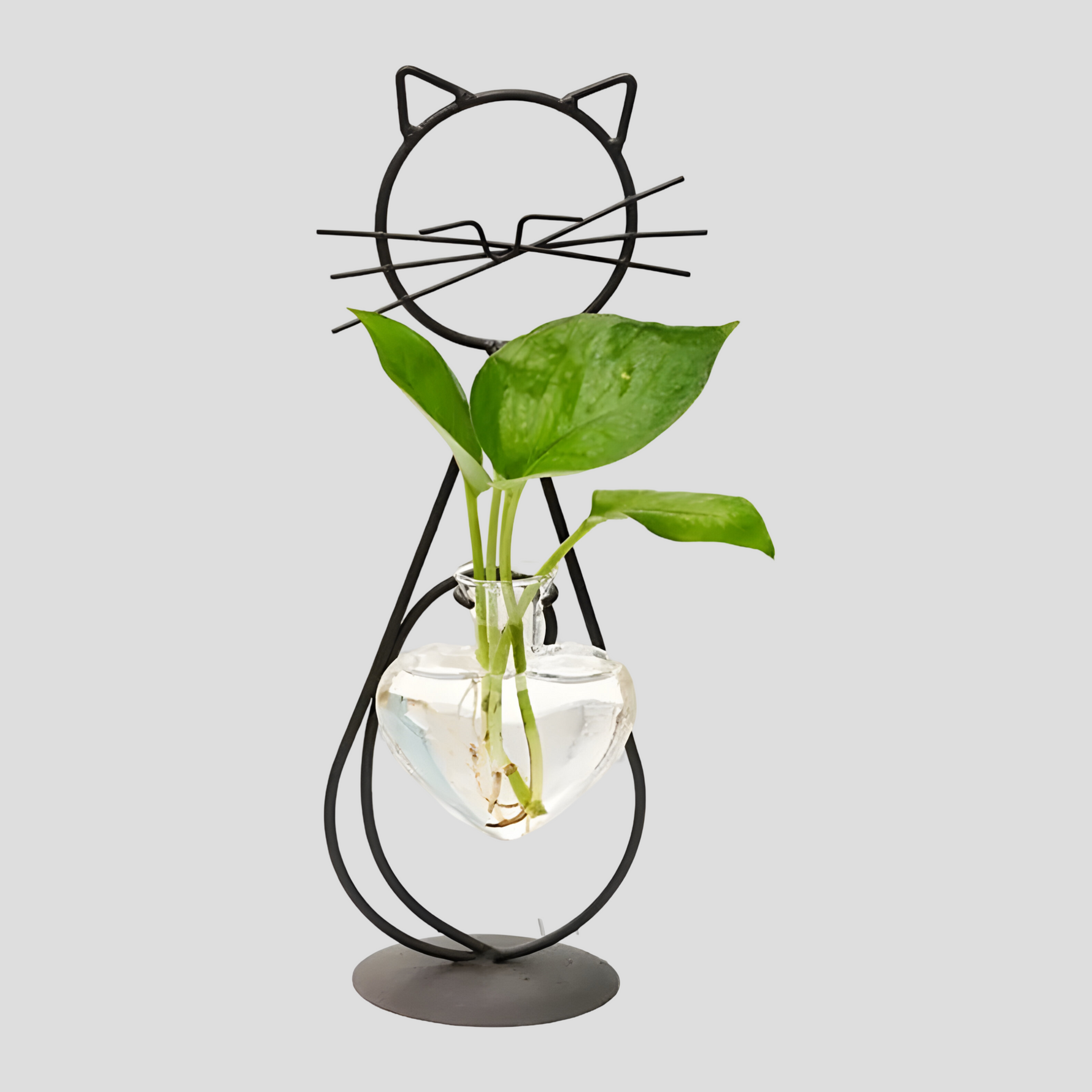 Hydroponische Glasvase in Herzform mit Katzenhalter