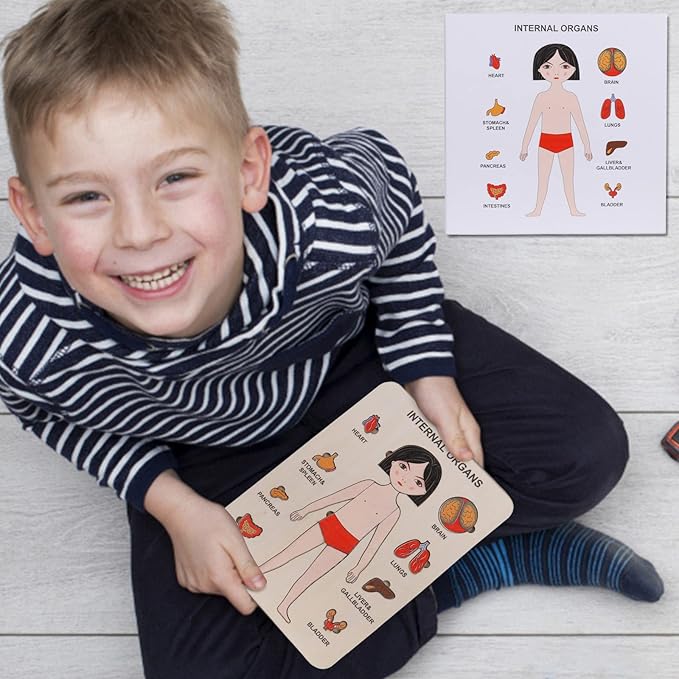 Holzpuzzle zur Anatomie des menschlichen Körpers – Lernspiel