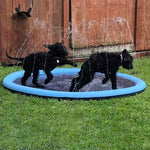 Splash Fun for Pets | Refreshment for Every Day!