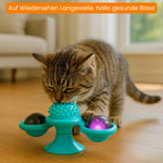 Interaktives Katzenspielzeug mit LED und Katzenminze