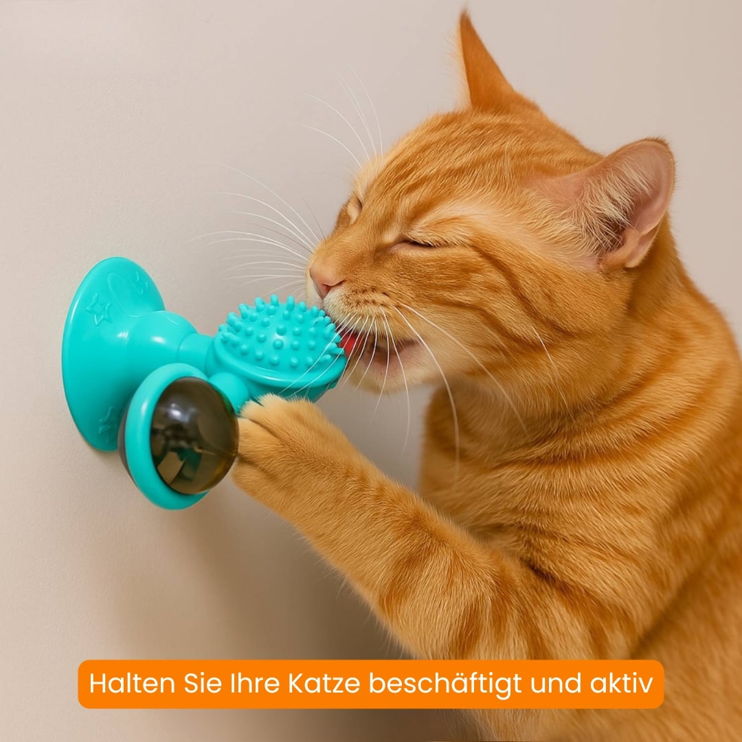 Bild-Alt-Text