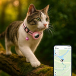 GPS-Katzenhalsband mit Sicherheitsverschluss und Glocke